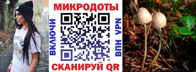 где купить Керчь Галлюциногенные грибы GOLDEN TEACHER